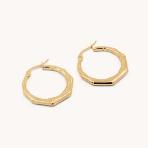 Bamboo Hoops, Gold