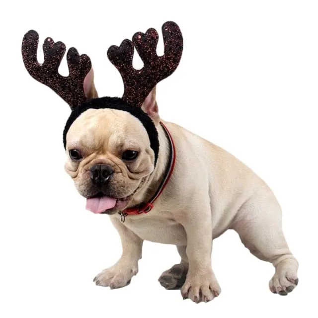 Christmas Pet Antler Headband