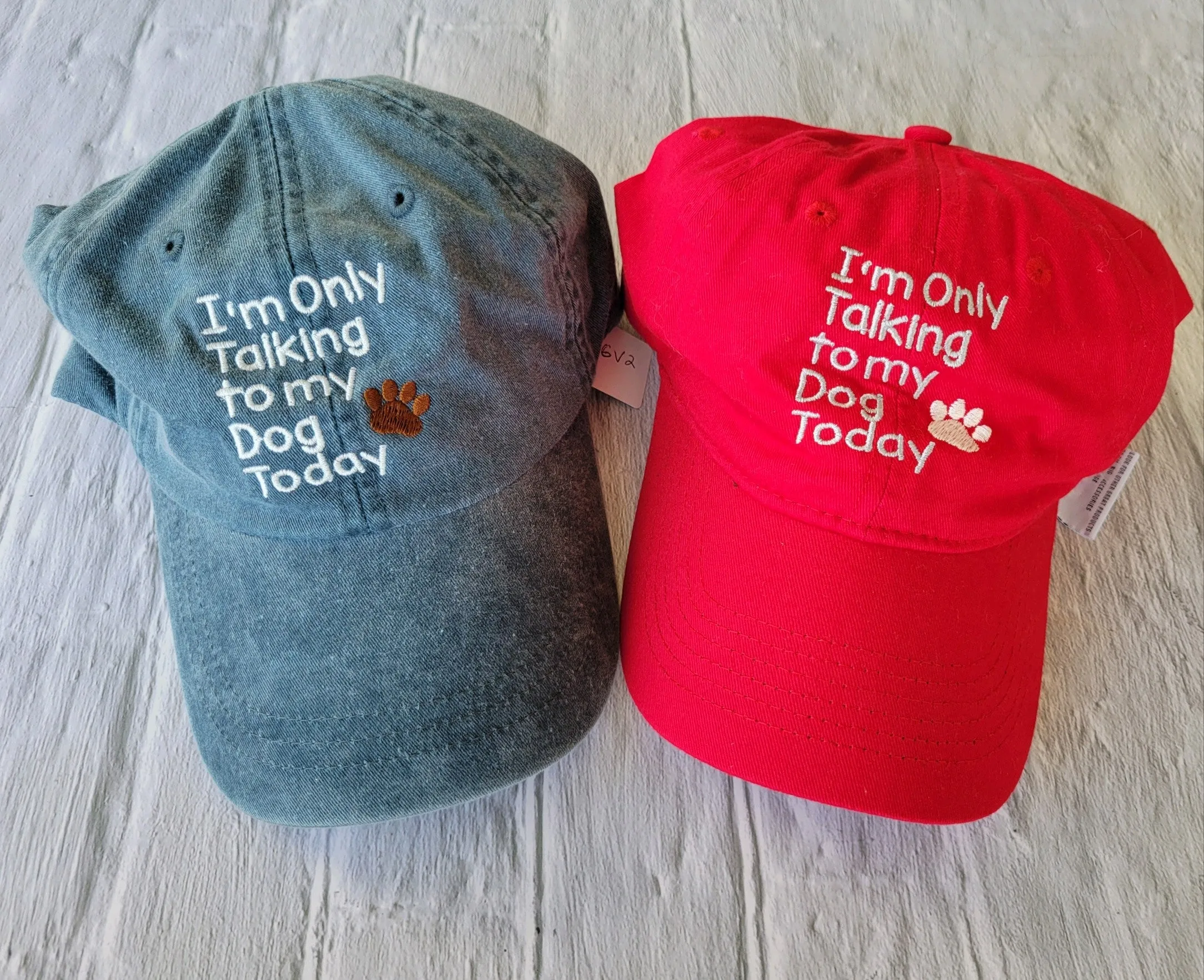 I'm Only Talking to my Dog Today Hat