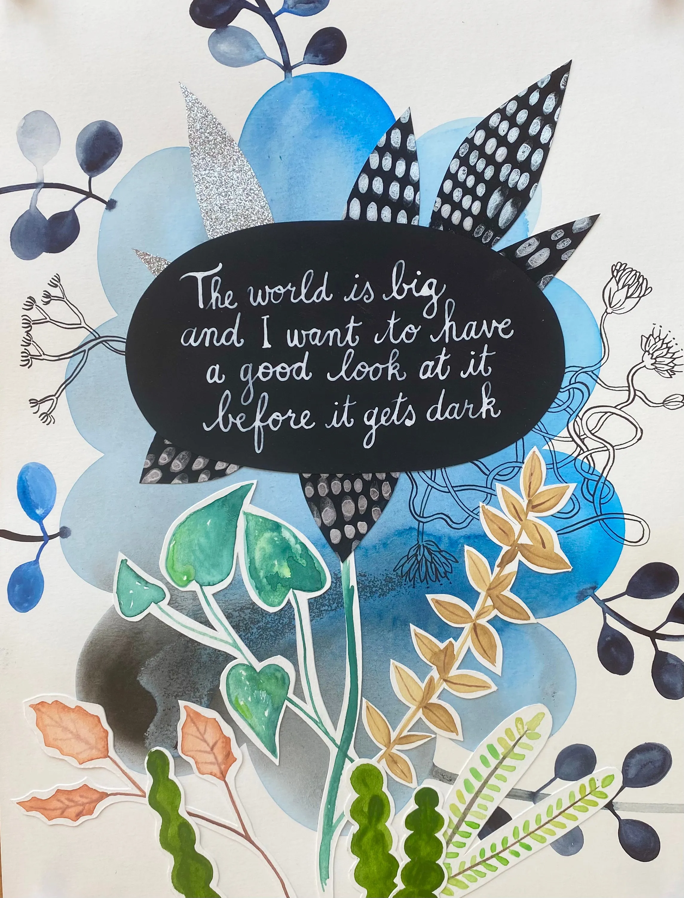 John Muir Doodle