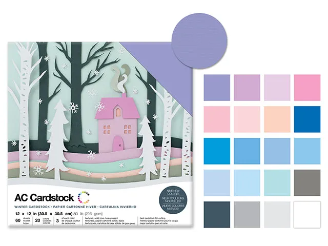 Scrapbook Cardstock: 12"x12" 80lb (216gsm) Textured  F) Winter