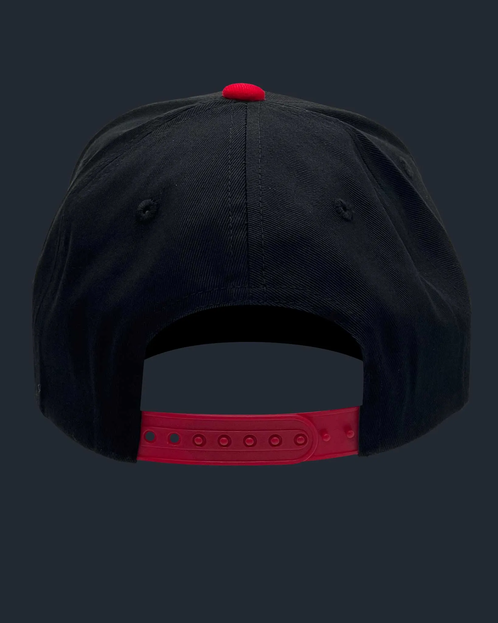The Terminator - Skynet Hat